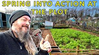 Allotment Raised Beds & Borders | ALLOTMENT GARDENING UK