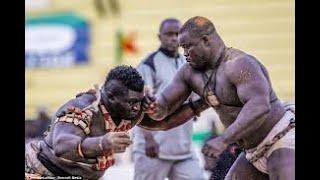 Senegalese Wrestling Highlights