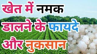 खेत में नमक डालने के फायदे और नुकसान/खेत में नमक/SaltFarming