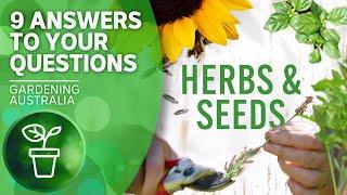 Herbs and seeds | Your questions, our answers | Gardening Australia