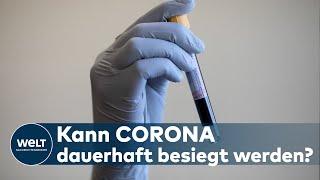 CORONA-STUDIE: Schützen Coronavirus-Antikörper wirklich länger vor Covid-19?