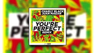 Charly Black, Juan Magan - You're Perfect (Remix)