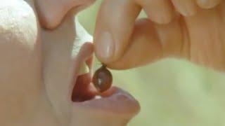 David Attenborough Eats a Honeypot Ant | Attenborough: Trials of Life | BBC Earth