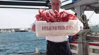 Restaurant Mas dels Arcs - La Cuina de l'Empordanet