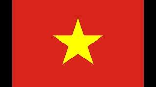 Historic Vietnamese Flag Animation