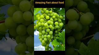 Top 5 Amazing Facts About Food  | Fact | Fact in Hindi #shorts