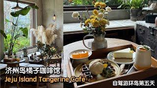韩国济州岛第五天去橘子咖啡馆，网红最喜欢的咖啡馆之一！PART 1 自驾游怎么玩西归浦与济州岛 Jeju Island Tangerine Cafe, Orange Mandarine Cafe