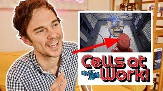 Is Red Blood Cell a Sickle Cell?! 5 things you may have missed in CELLS AT WORK! // Doctor Reaction