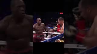 Wilder v Molina  #Shorts For a surprise check the pinned comment 