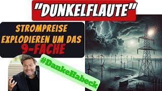 Dank "Dunkelflaute": Hat Robert Habecks Energiepolitik versagt?