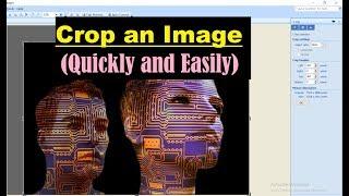 Crop a Photo in Microsoft Office Picture Manager - Crop Photo - Crop Image - Crop Picture - Crop Pic