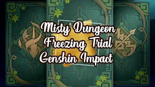 [ RPG GAMEPLAY ] Battle Showcase : Misty Dungeon / Freezing Trial - Genshin Impact 原神 원신 げんしん miHoYo