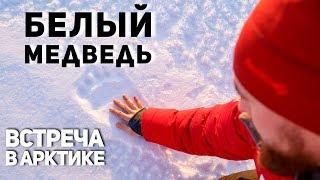 ЗАБРОШКА посёлки СЕВЕРА. ПЕВЕК, АРКТИКА. БЕЛЫЙ МЕДВЕДЬ встреча в дикой природе, Чукотка. ВЛОГ #17