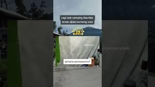 si kocheng oren meresahkan..! #shorts #viral #camping #djigotogel