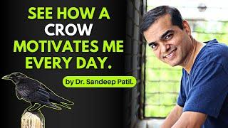 See how a CROW motivates me every day. | Sunday Psychology. | by Dr. Sandeep Patil.