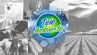 TeleAmbiente, informiamo per un mondo sostenibile