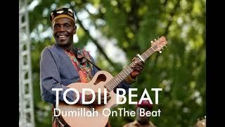 Todii Instrumental beat remake #Todii #oliver (Oliver Mtukudzi)#beatremake