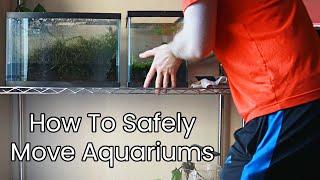 Moving Aquariums Sucks | Tips To Make It Easier