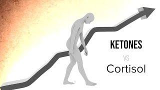 Keto 101 - Ketones vs Cortisol