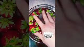 ASMR CLEANING STRAWBERRIES #asmr #strawberries