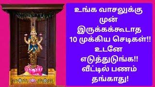 பெண்களுக்கான முக்கிய பதிவு:பணவரவுக்கு தடையாக உள்ள செடிகளை உடனடியாக எடுங்க!இல்லையேல், வறுமை சூழும்!