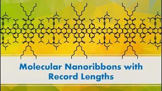Molecular Nanoribbons with Record Lengths