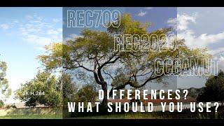 Rec709 vs Rec2020: What's the Difference and How to Edit Them!