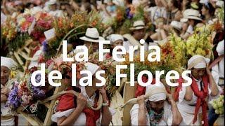 La Feria de las Flores en Medellín | Alan por el mundo Colombia #12