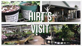 Hirt’s Garden Visit and Haul.