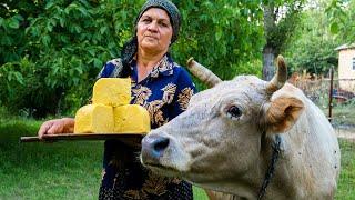 Cheese Making at Home - Organic Cheddar Cheese