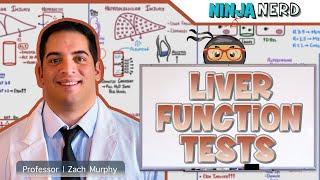 Liver Function Tests (LFTs) | Clinical Medicine