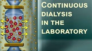 Continuous dialysis in the laboratory (IQOG-CSIC)