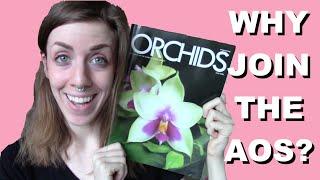 Why join the American Orchid Society? – My opinions