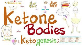 Urine Ketone Bodies - Ketosis and Ketoacidosis - Lab Chemistry