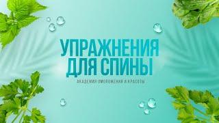 Тренировка спины. Упражнения для спины