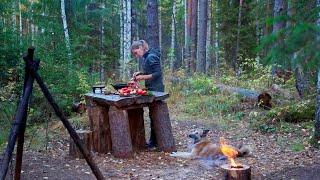 Rebuilding the hut - One day in a hut the wild forest