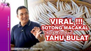 VIRAL!!! SOTONG MACAKAL COMES WITH TOU BUDI BUDIMAN