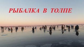 Рыбалка в толпе на Волге. Первый лёд 2020 - 2021.