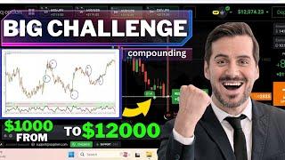 Best Mt4 Indicator Ever 2024 | Best IQ Option Binary Trading MT4 Indicator. From $1000 to $12000