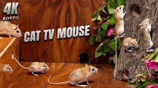 Cat TV Mouse - Ultimate Mouse Hide & Seek Showdown | Squeaking Fun & Cat vs Mouse Action! 4k