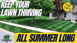 Save Your Lawn From Summer Heat!