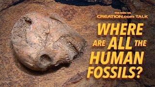 Where Are All the Human Fossils?