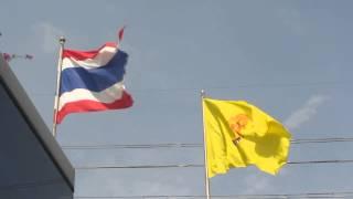 45 Thailand National Flags Flying in the wind - ธงไตรรงค์