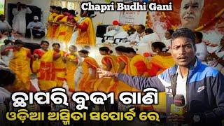 Chapri Budhi Kuli Video Viral || Baripada Re Odiya Asmita Birodh//Santal Nachaniya @BirbahaLiveNews