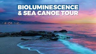 Phuket’s Bioluminescent and Sea Canoeing Tour | Bioluminescent Thailand