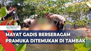 Mayat Gadis Berseragam Pramuka Ditemukan Di Tambak