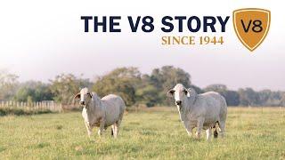 The V8 Ranch Story — Historic Cattle Ranch in Hungerford, Texas