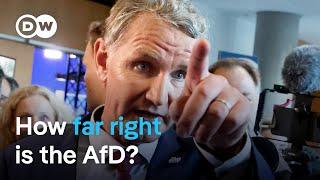 Will Germany's political 'firewall' against the far-right AfD hold? | DW News