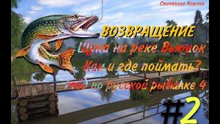 Где и как ловить щуку на р.Вьюнок в Русской рыбалке 4. Ремейк.