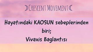 Vivaksis Bağlantısı